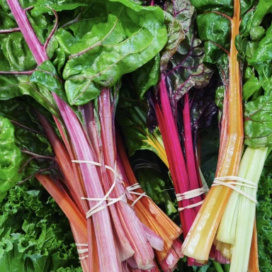 Fresh Local Vegetables